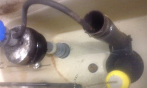 anti-siphone fill valve