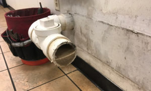 grease trap drain